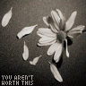 ICONATOR_267b0ecb48b6ca8aa6cec915db9cf439.gif, 19 KB
